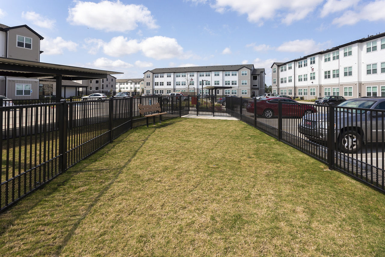 Dog park at Prose South Main (2 of 4)