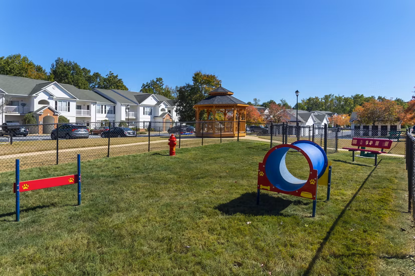 Fun and social dog park at Mainstreet at Conyers Apartments, where pets and owners enjoy a vibrant outdoor space for exercise and play