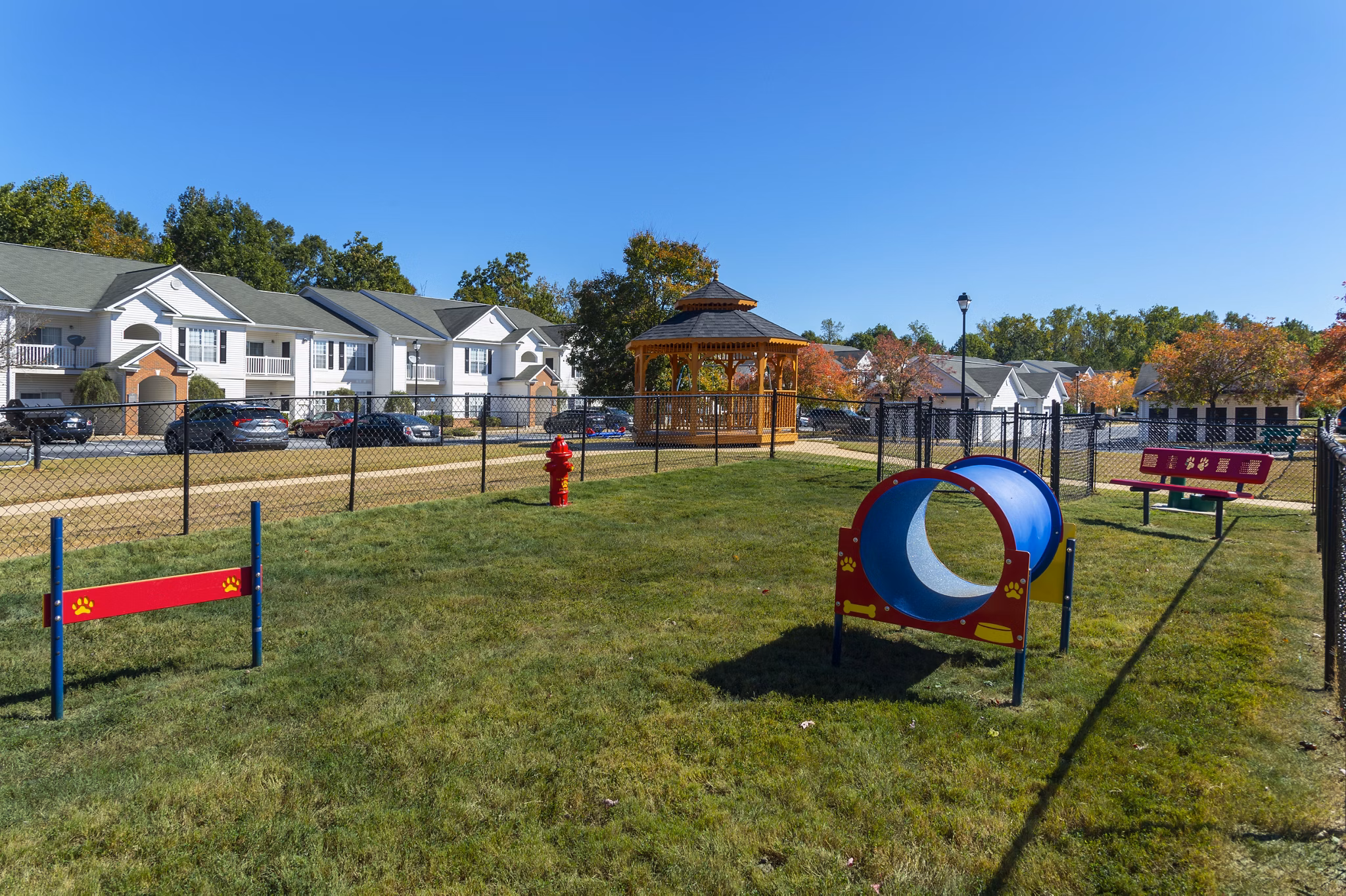 Fun and social dog park at Mainstreet at Conyers Apartments, where pets and owners enjoy a vibrant outdoor space for exercise and play