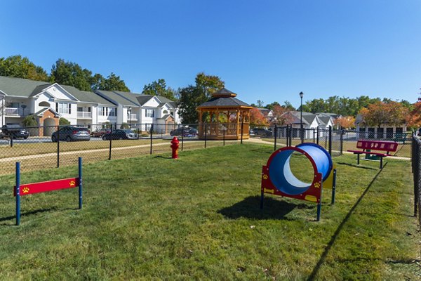 Fun and social dog park at Mainstreet at Conyers Apartments, where pets and owners enjoy a vibrant outdoor space for exercise and play