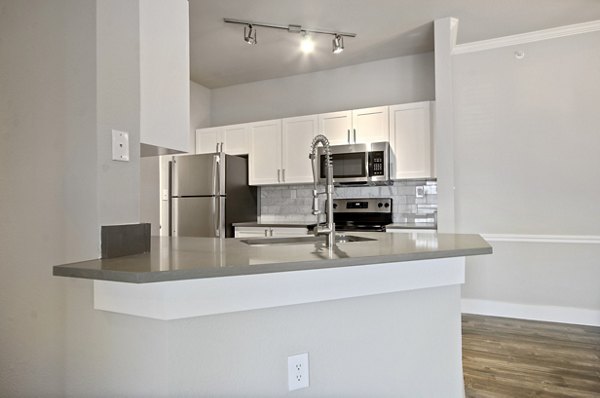 Sleek kitchen with modern appliances and granite countertops in Siena Apartments