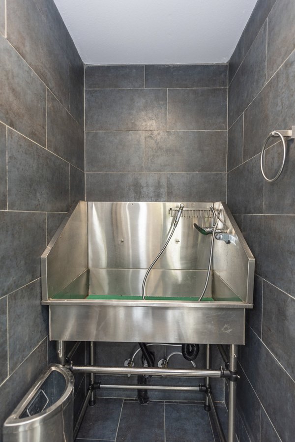 Convenient dog wash station at Avana Fieldstone Apartments, ideal for pet-friendly living and enhancing resident lifestyle options
