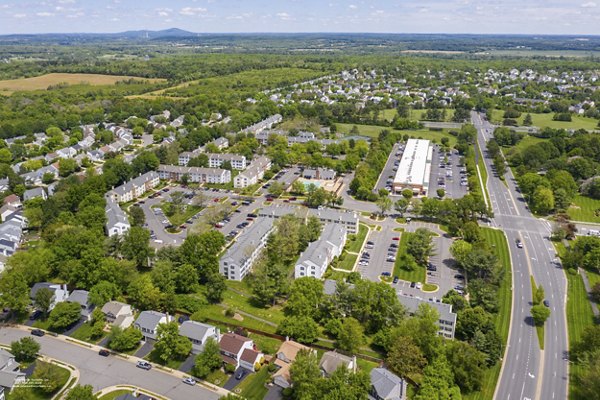 Tranquil courtyard view at Avana Fieldstone Apartments featuring lush landscaping and seating areas