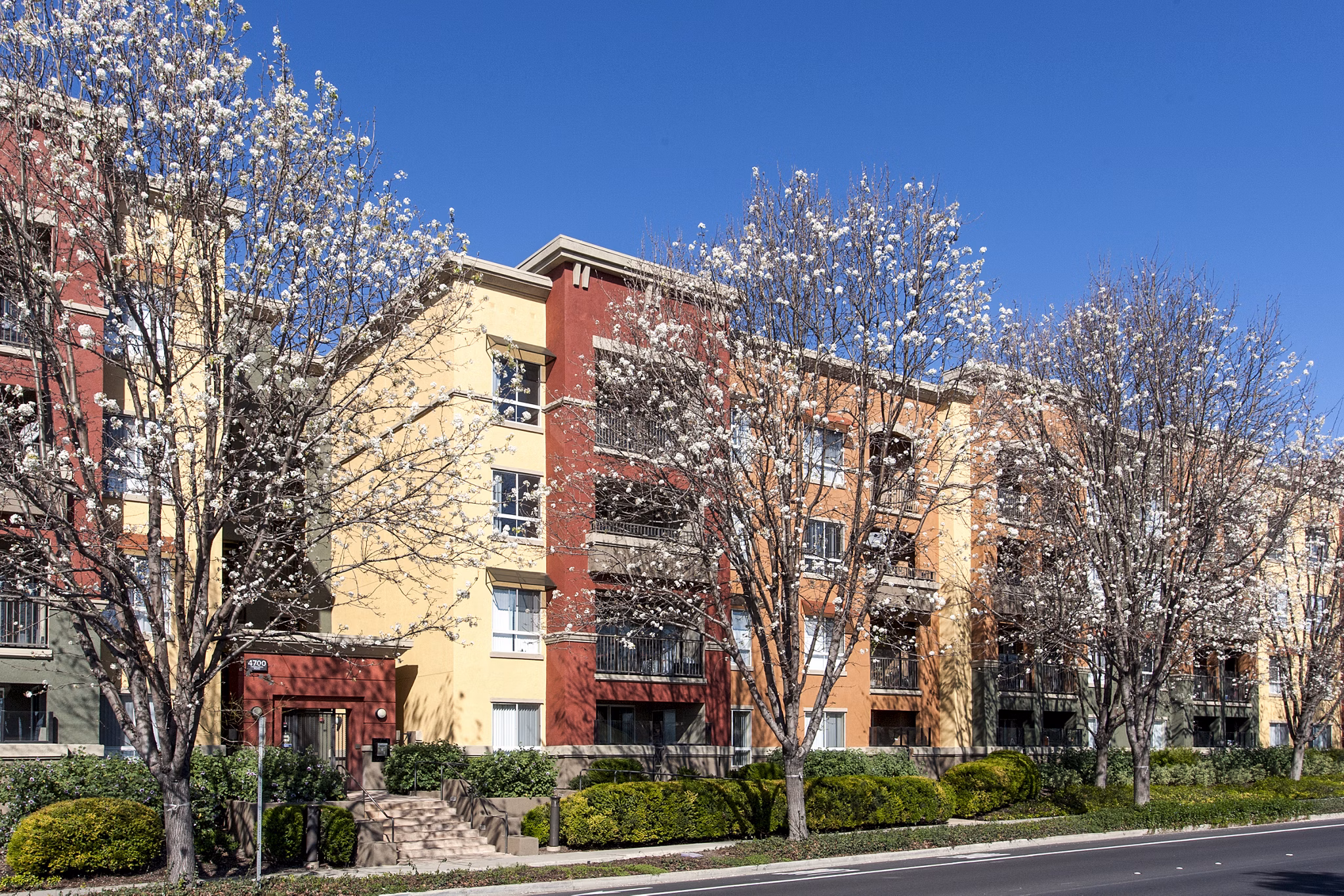 Waterford Place Apartments: Elegant building showcasing modern design in a serene neighborhood setting
