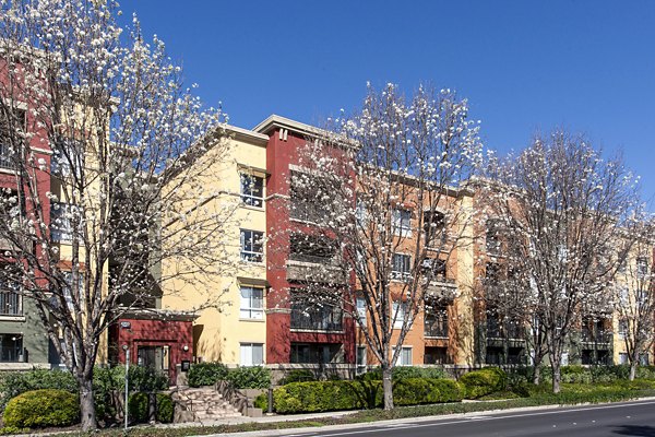 Waterford Place Apartments: Elegant building showcasing modern design in a serene neighborhood setting