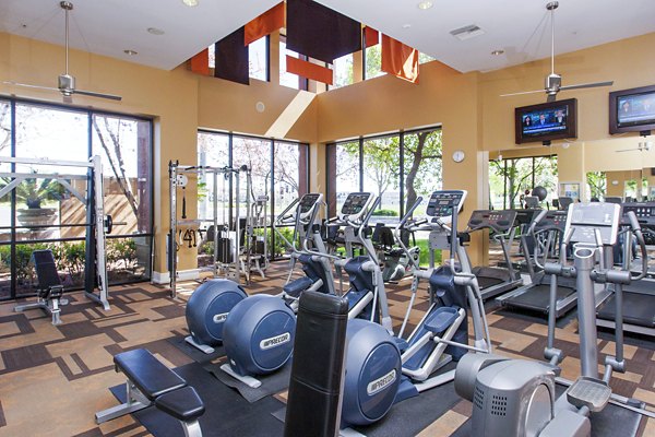 Modern fitness center with state-of-the-art equipment at Waterford Place Apartments