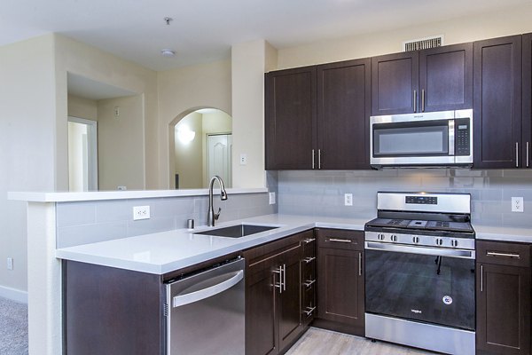 Modern kitchen with sleek countertops and stainless steel appliances at Waterford Place Apartments