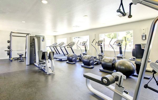 State-of-the-art fitness center with modern equipment at The Breakwater Apartments, ideal for active lifestyles