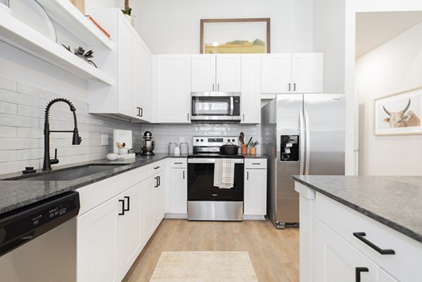 kitchen at Elan Denton Apartments