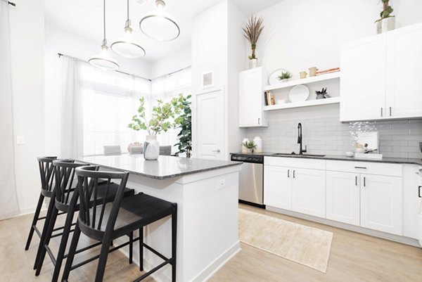 kitchen at Elan Denton Apartments