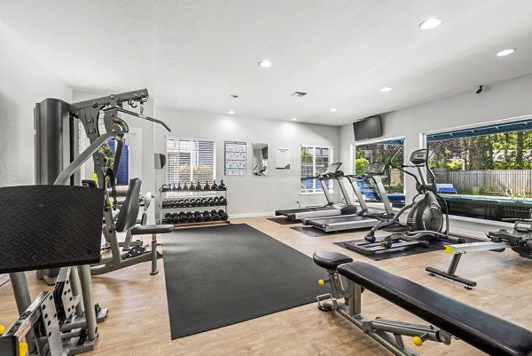 Modern fitness center with state-of-the-art equipment at Avana Chestnut Hills Apartments