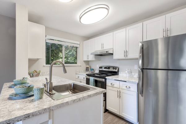kitchen at Avana Chestnut Hills Apartments