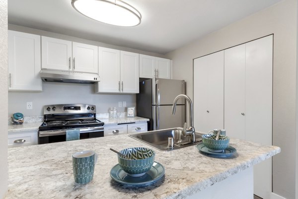 kitchen featuring stainless steel appliances and granite countertops in Avana Chestnut Hills Apartments