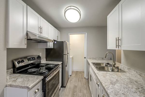 kitchen at Avana Chestnut Hills Apartments