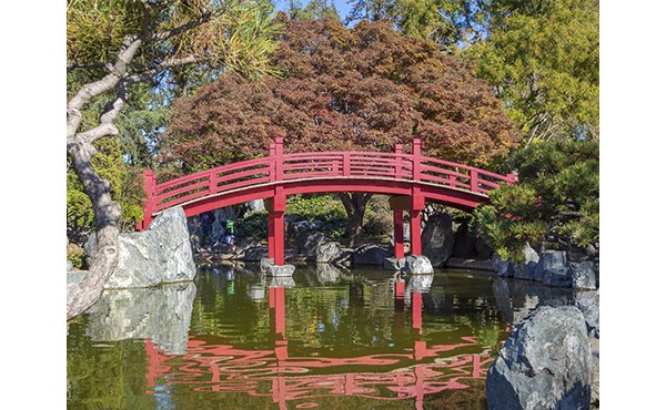 Charming neighborhood view near One38 Apartments, featuring tree-lined streets and local boutiques, offering a vibrant community atmosphere