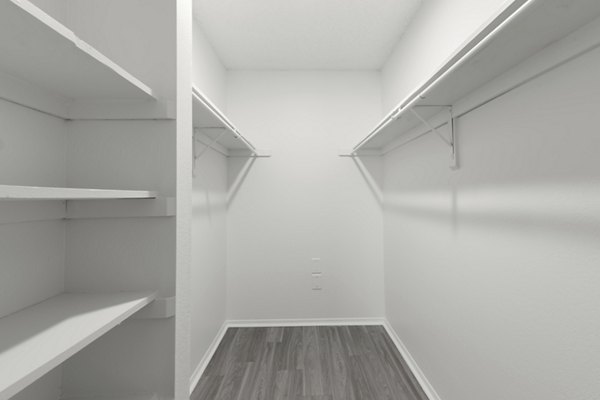 Spacious closet with ample shelving in Avana Coachman Apartments