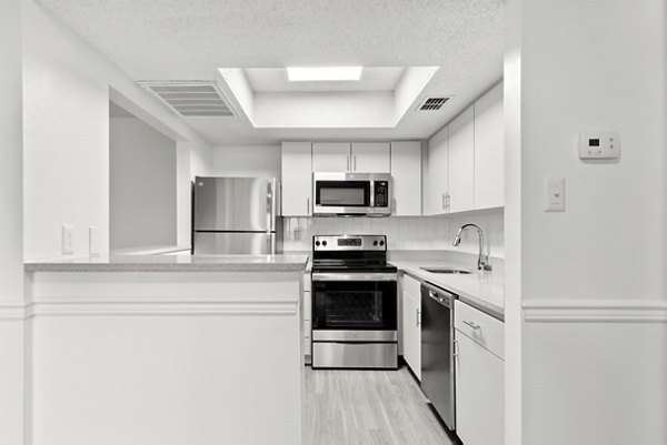 Modern kitchen featuring stainless steel appliances at Avana Coachman Apartments, luxury living by Greystar