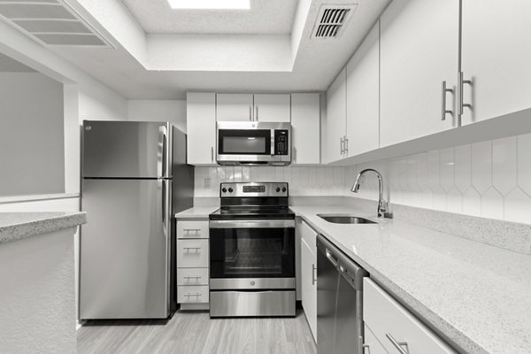Modern kitchen with stainless steel appliances in Avana Coachman Apartments
