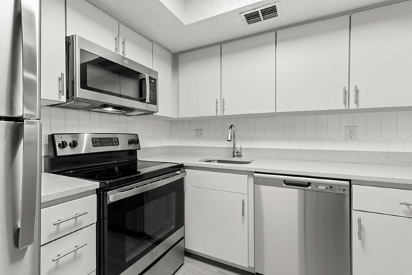 kitchen at Avana Coachman Apartments