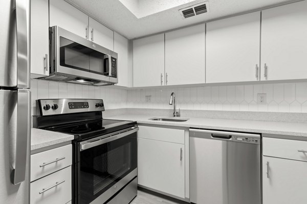 Modern kitchen with stainless steel appliances at Avana Coachman Apartments