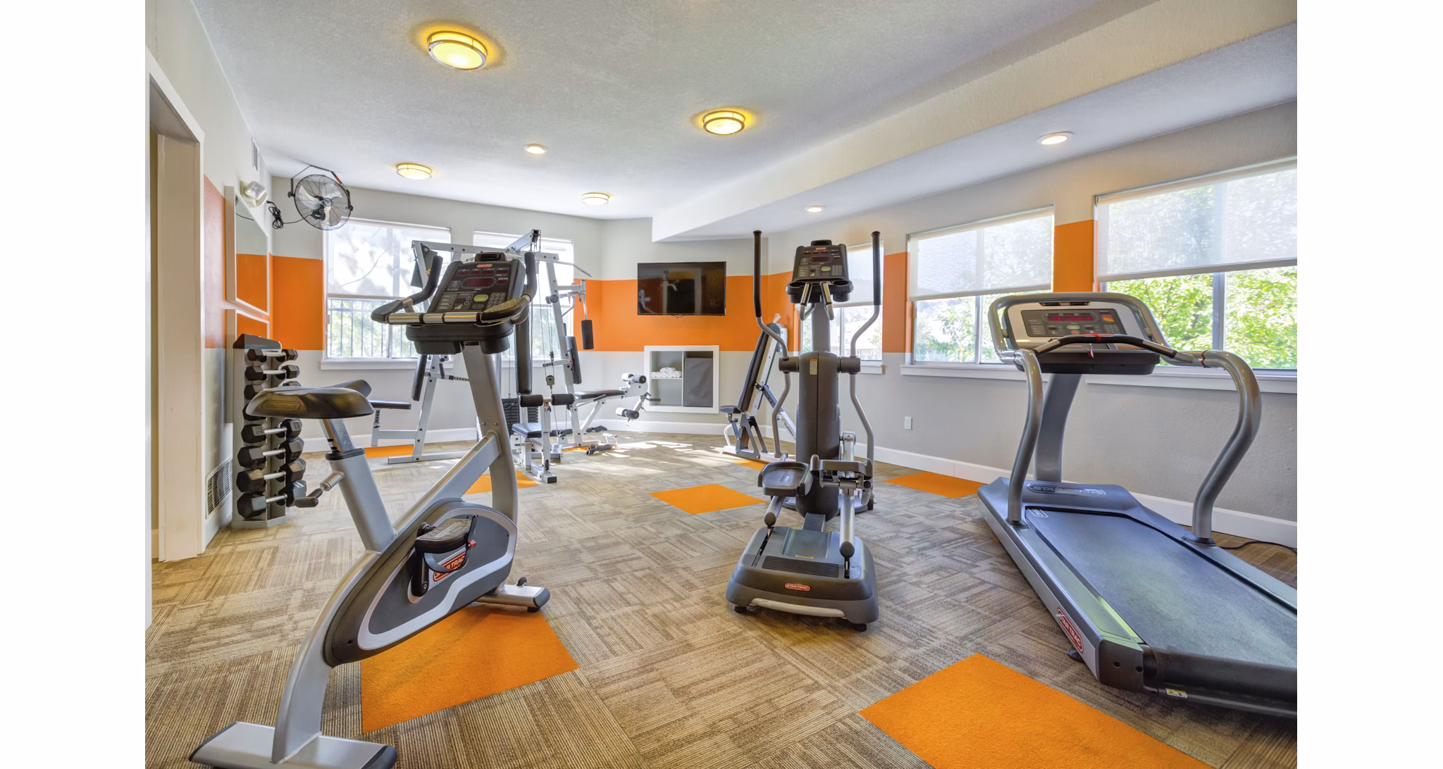 fitness center at Altitude Apartments 