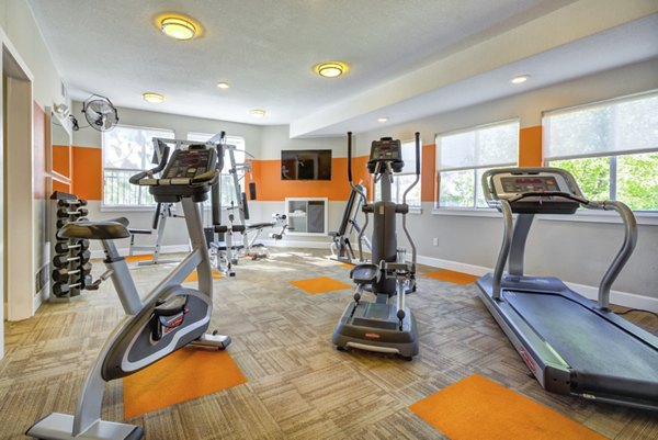 fitness center at Altitude Apartments 