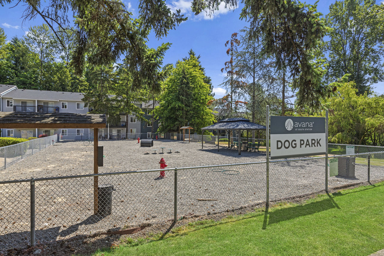 Dog park at Avana At South Station (1 of 2)