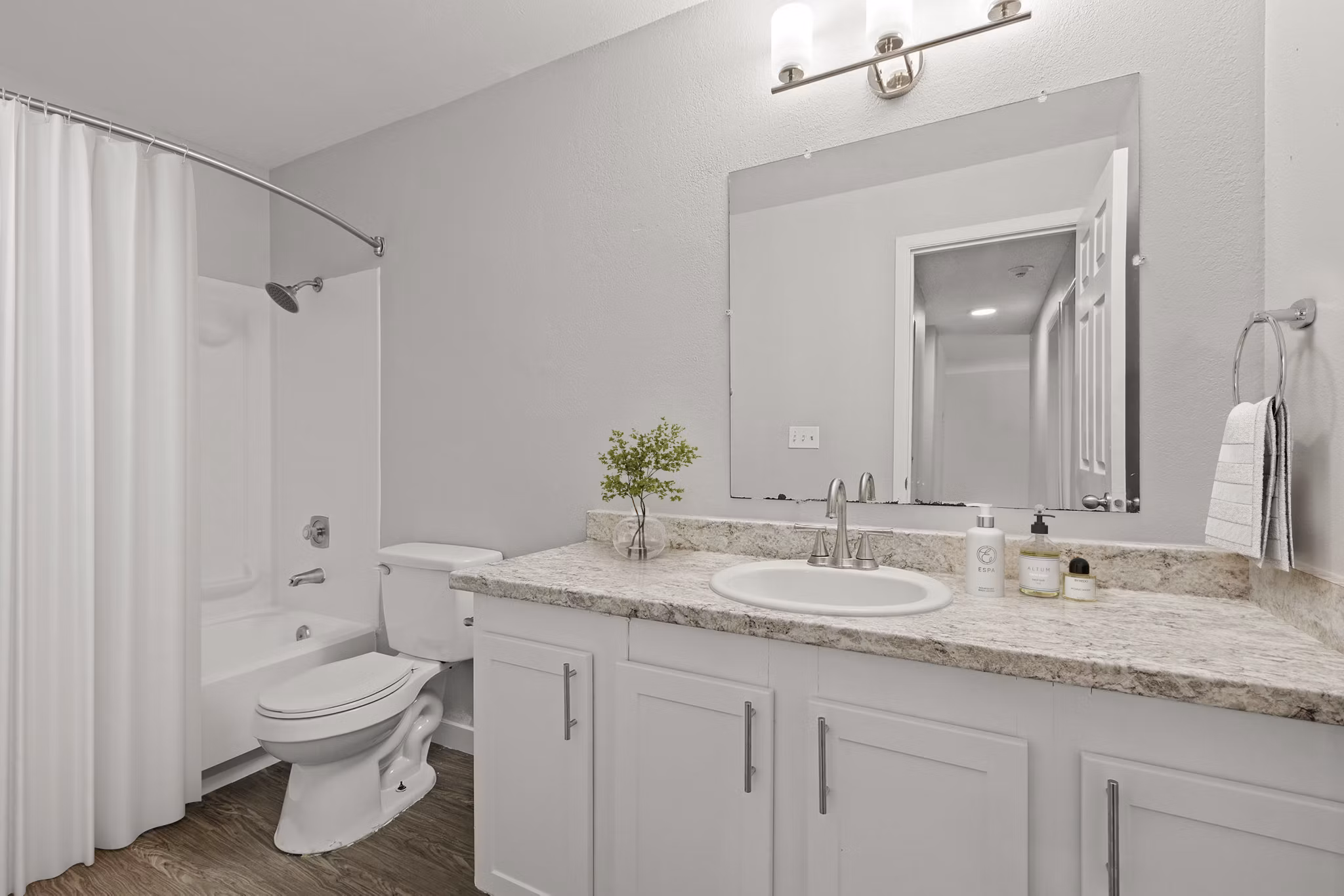 rendering at Avana at South Station Apartments