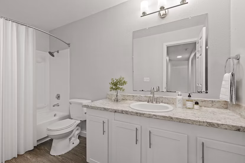 rendering at Avana at South Station Apartments