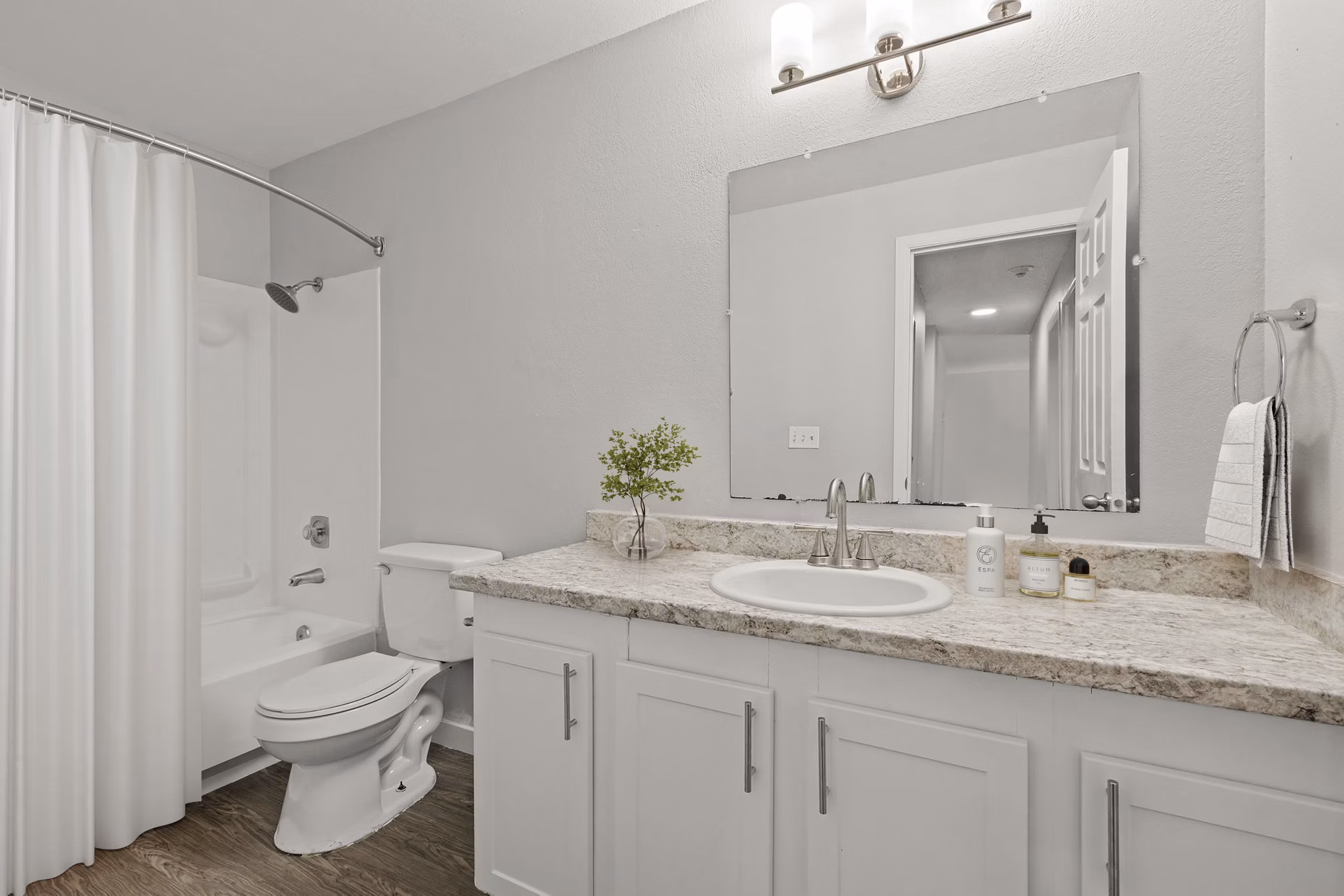 rendering at Avana at South Station Apartments