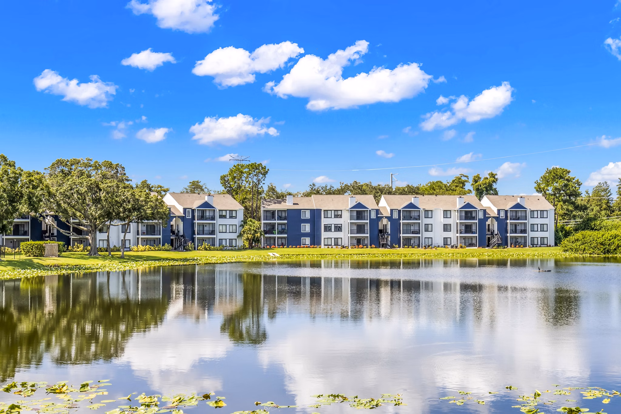 Avana Lakeview Apartments: Modern luxury apartments with lake views in a vibrant urban neighborhood