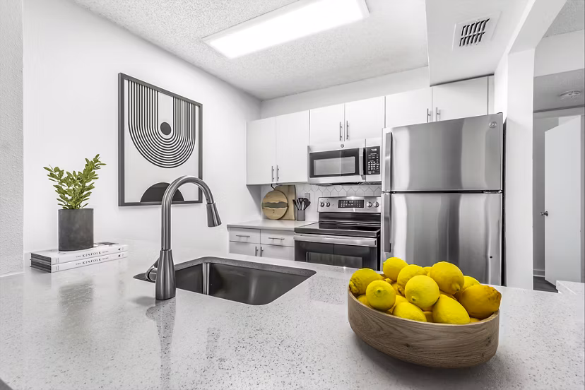 Modern kitchen with stainless steel appliances at Avana Lakeview Apartments