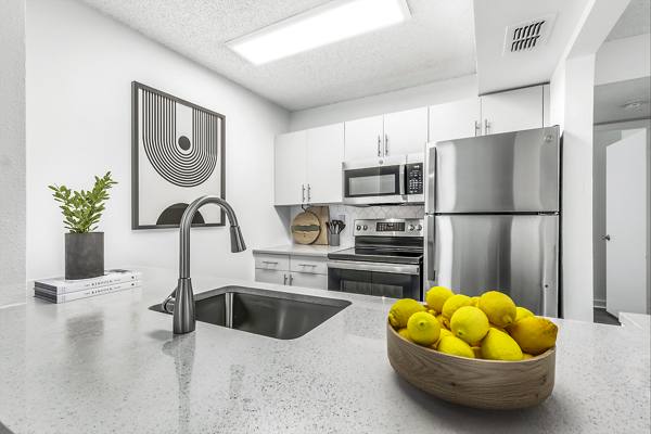kitchen at Avana Lakeview Apartments