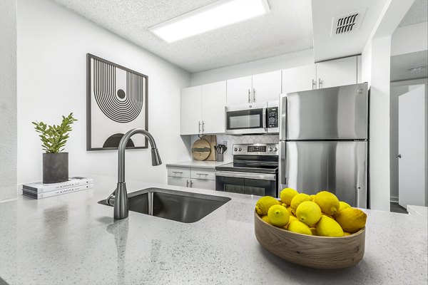 Modern kitchen with stainless steel appliances at Avana Lakeview Apartments