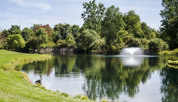 Hidden Lakes Apartments: Charming view of tranquil lakeside setting in luxury community