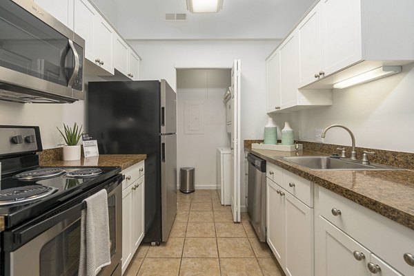 Modern kitchen with stainless steel appliances at Shoal Creek Apartments