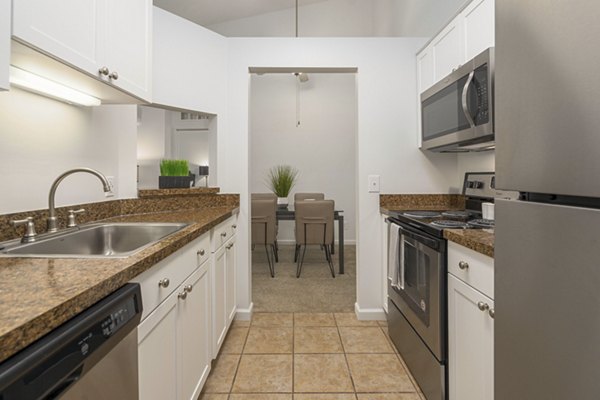 Stylish kitchen with granite countertops and stainless steel appliances at Shoal Creek Apartments