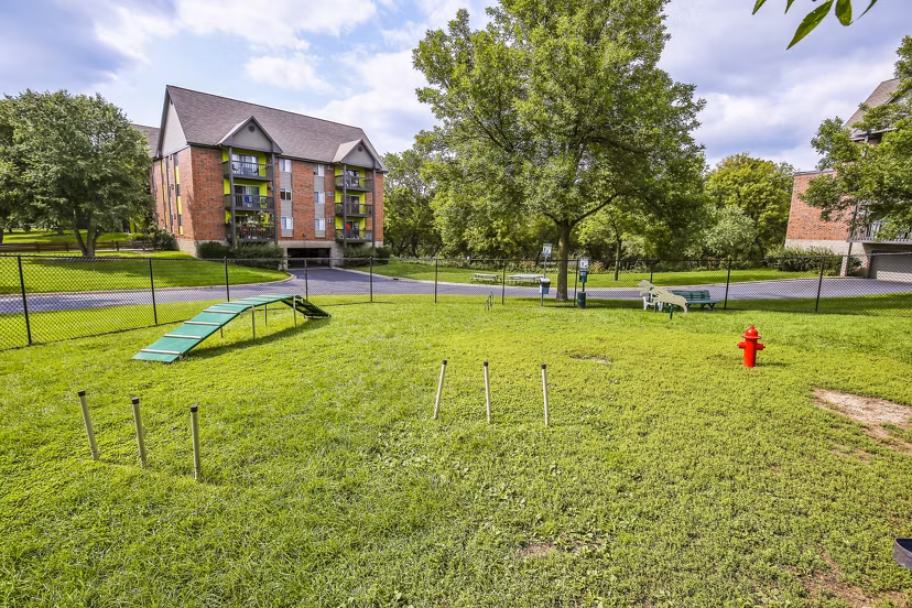 Spacious fenced dog park with agility equipment at Avana West Park Apartments