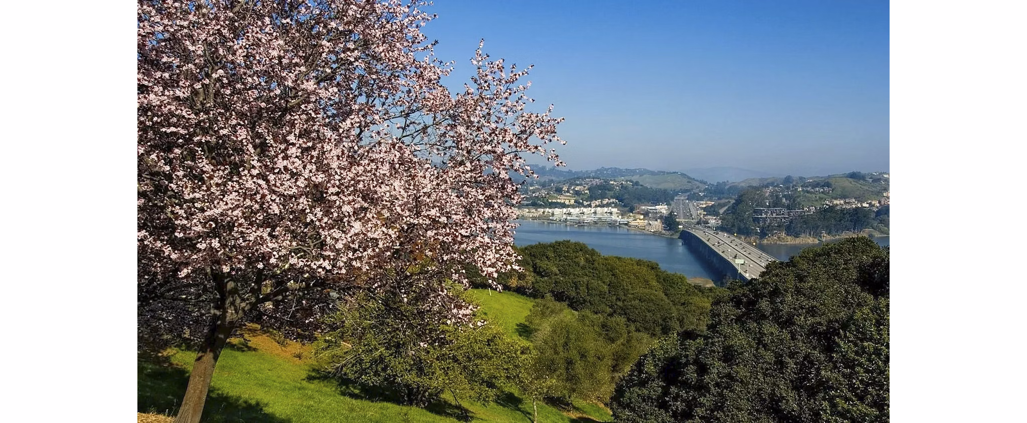 view at Summit at Sausalito Apartments