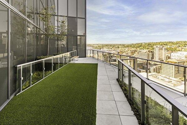 Expansive dog park featuring agility equipment at The Waverly Apartments