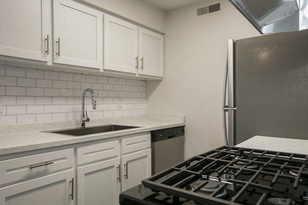 kitchen at Milo Apartments