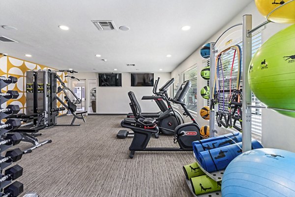 State-of-the-art fitness center with modern equipment at Desert Shadows Apartments