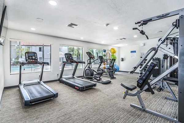 Modern fitness center with state-of-the-art equipment at Desert Shadows Apartments luxury community