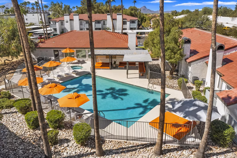 Sparkling pool with sun loungers at Sparro Apartments, a luxury community by Greystar