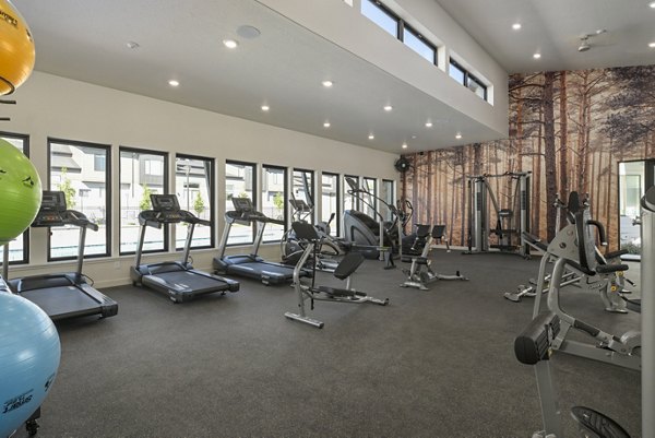 fitness center at Fossil Cove Apartments 