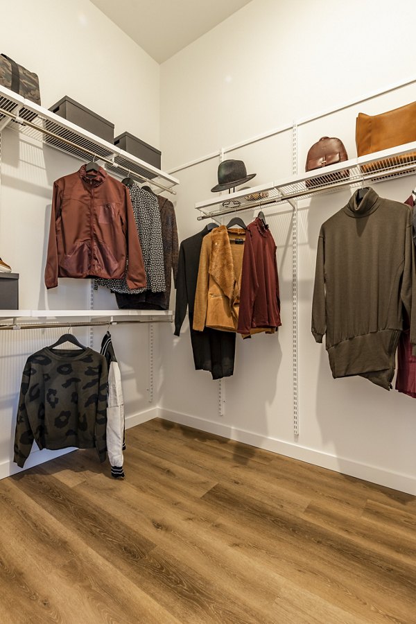 Walk-in closet with ample storage space at Arista Apartments
