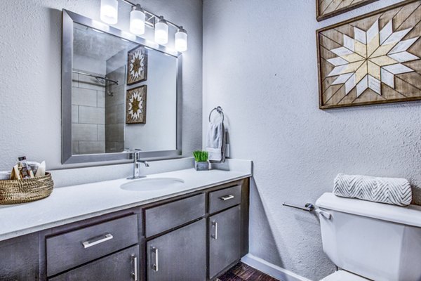 Elegant bathroom featuring modern fixtures at The Oakley Apartments in luxury Greystar community