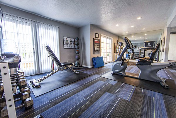 State-of-the-art fitness center with modern equipment at The Mica Apartments for luxury living