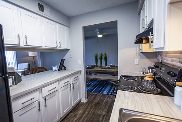 Sleek kitchen with modern appliances in The Mica Apartments, luxury living by Greystar