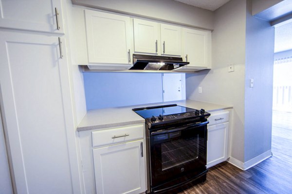 The Mica Apartments: Modern kitchen with sleek countertops and stainless steel appliances